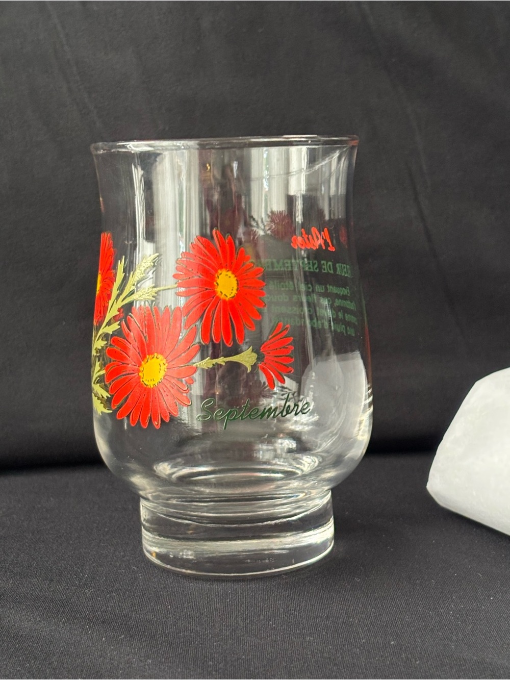 Verre Vintage Dominion Glass - Fleur du Mois de Septembre (Aster)